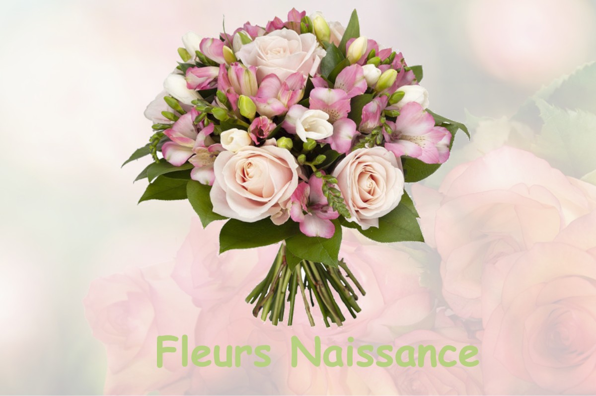 fleurs naissance CHANTELOUVE